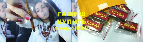 хмурый Менделеевск