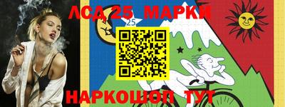 a pvp Кингисепп