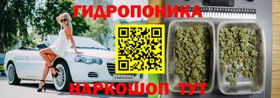 a pvp Кингисепп