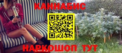 a pvp Кингисепп