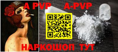 a pvp Кингисепп