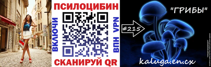 купить  цена  Похвистнево  Псилоцибиновые грибы мицелий 